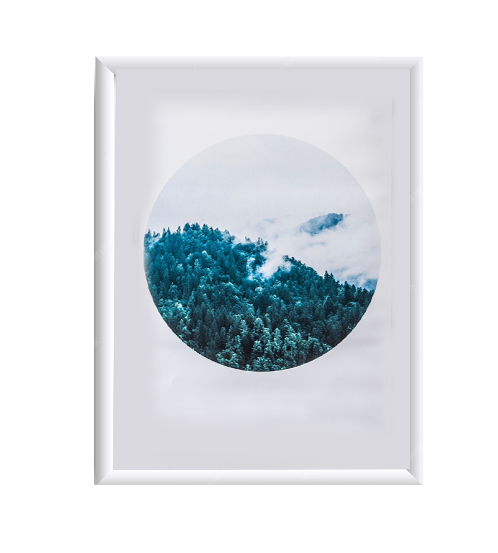 Misty Pine Circle
